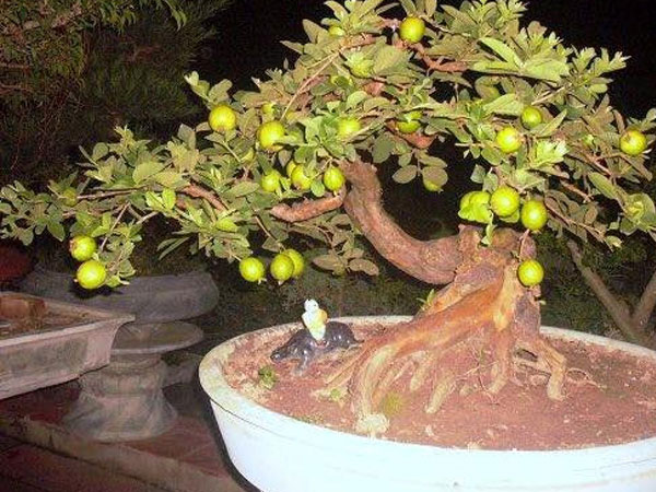 Ảnh bìa bài viết 505708