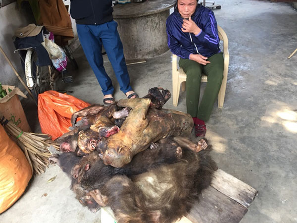 Ảnh bìa bài viết 506015