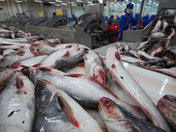 Ảnh bìa bài viết 496811