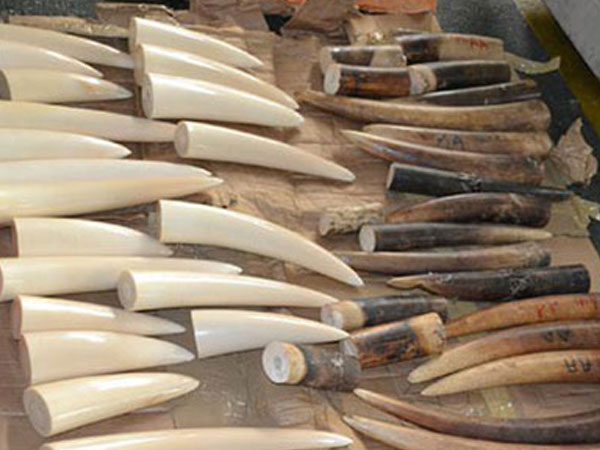 Ảnh bìa bài viết 497275