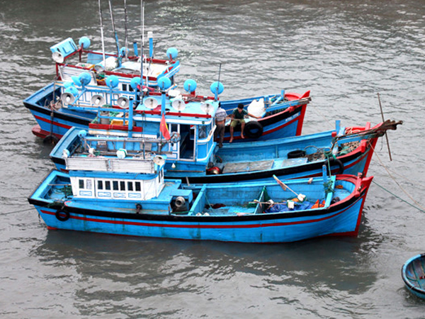 Ảnh bìa bài viết 498241