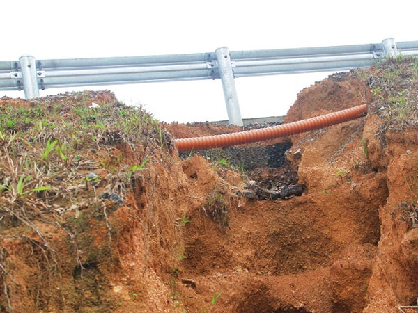 Ảnh bìa bài viết 498103