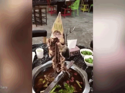 Ảnh bìa bài viết 498509