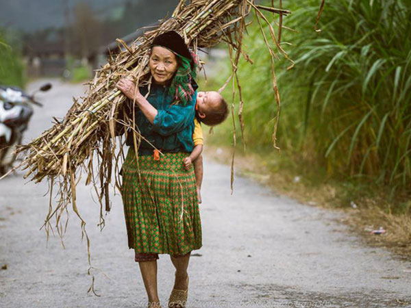 Ảnh bìa bài viết 498733