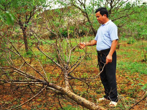 Ảnh bìa bài viết 498918