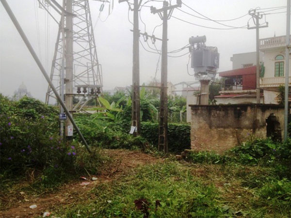 Ảnh bìa bài viết 498955