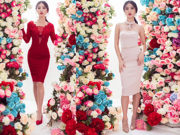 Ảnh bìa bài viết 498824