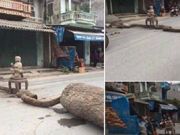 Ảnh bìa bài viết 491617