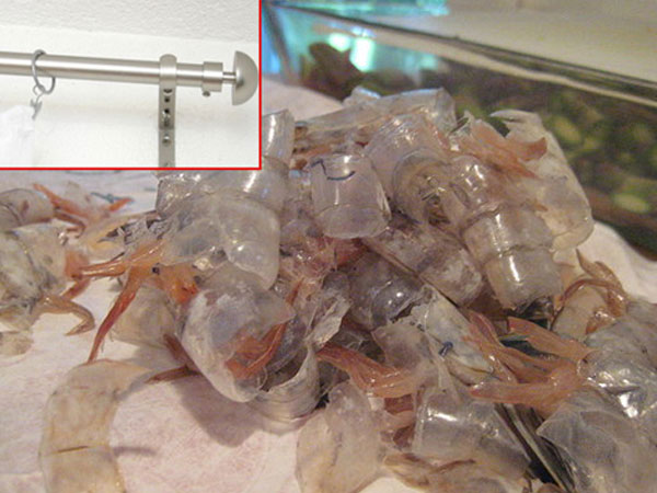 Ảnh bìa bài viết 492278