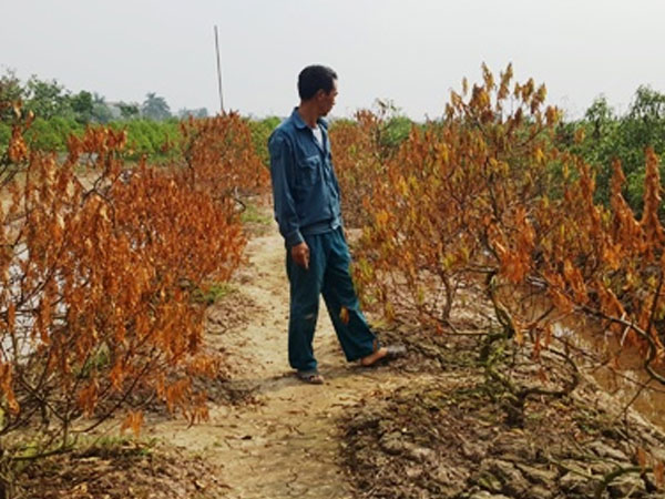 Ảnh bìa bài viết 492420