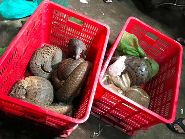 Ảnh bìa bài viết 492647