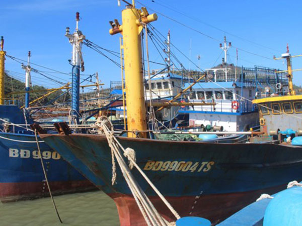 Ảnh bìa bài viết 492901