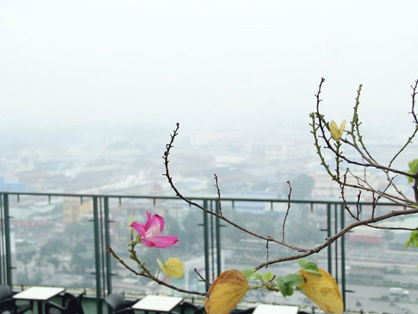 Ảnh bìa bài viết 501022