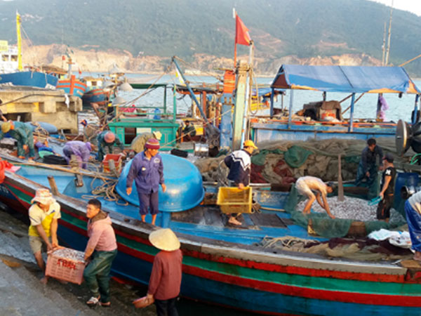 Ảnh bìa bài viết 501342