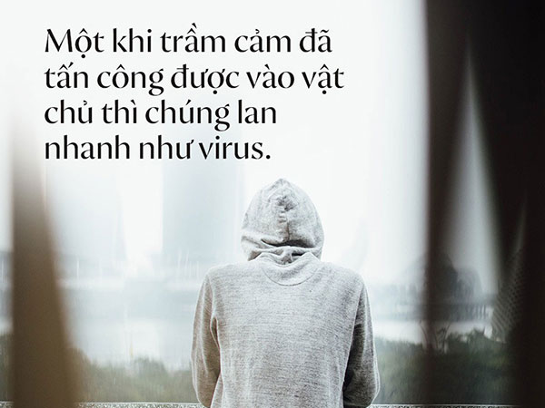 Ảnh bìa bài viết 501168