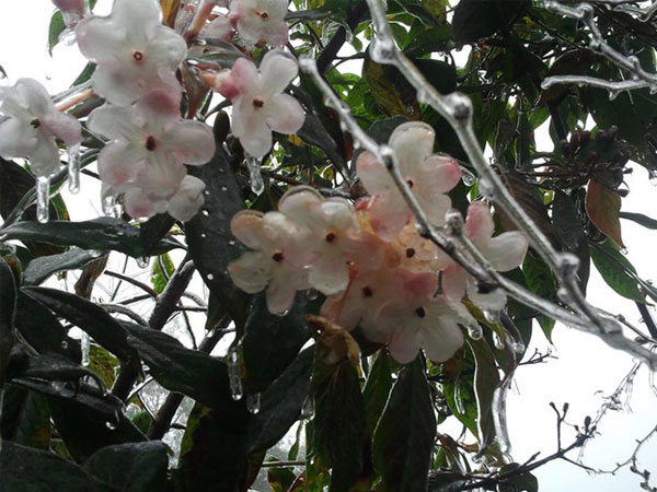 Ảnh bìa bài viết 493522