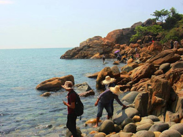 Ảnh bìa bài viết 493616