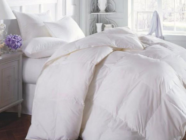 Ảnh bìa bài viết 508837