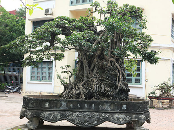 Ảnh bìa bài viết 508961