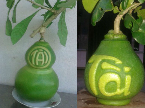Ảnh bìa bài viết 510150