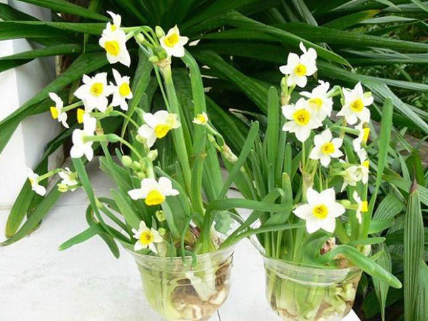 Ảnh bìa bài viết 510733