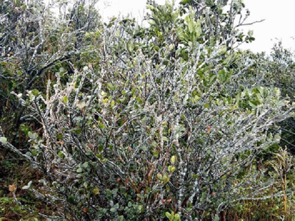 Ảnh bìa bài viết 510626