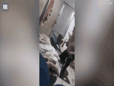 Ảnh bìa bài viết 511083