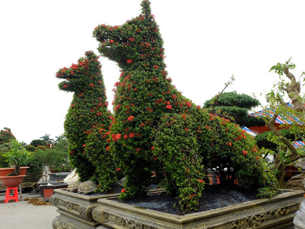 Ảnh bìa bài viết 511307