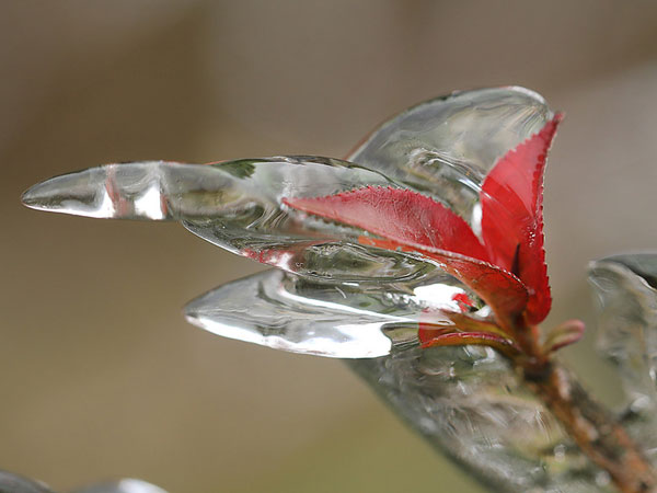 Ảnh bìa bài viết 511445