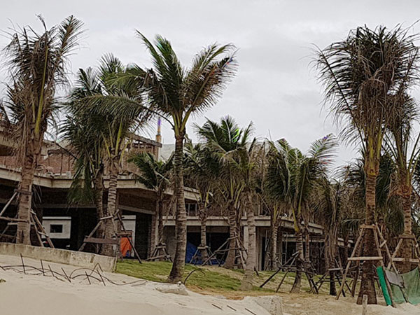 Ảnh bìa bài viết 512081