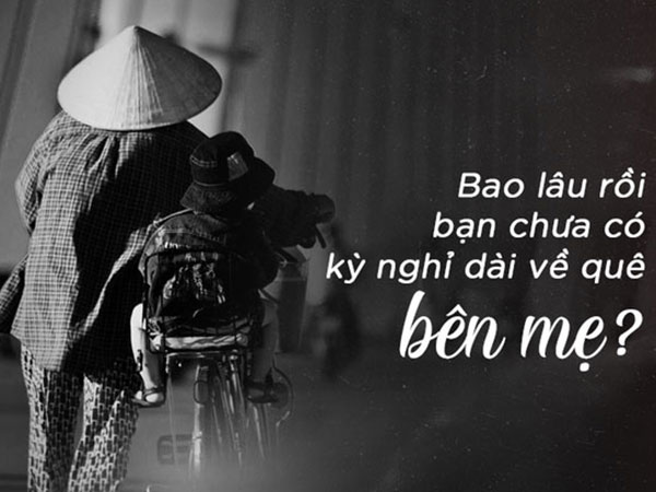 Ảnh bìa bài viết 512370