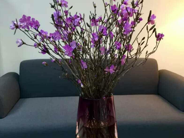 Ảnh bìa bài viết 512728