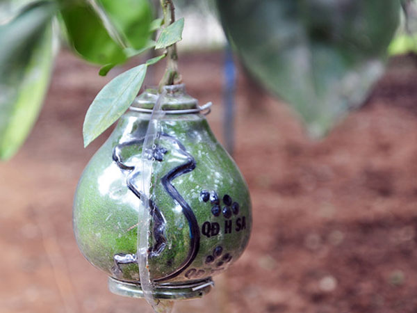 Ảnh bìa bài viết 513336