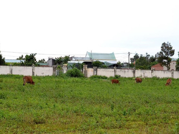 Ảnh bìa bài viết 514868