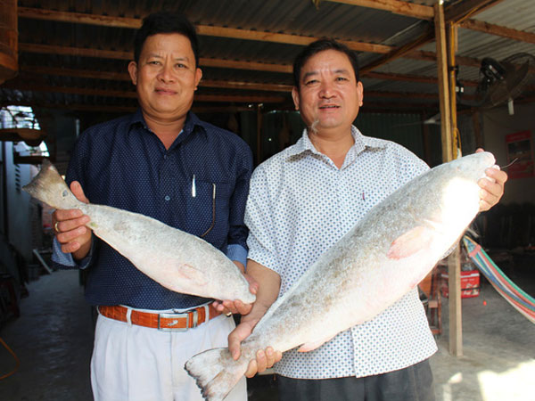 Ảnh bìa bài viết 515307