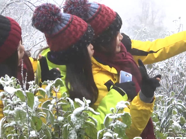 Ảnh bìa bài viết 515864