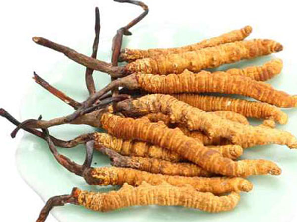 Ảnh bìa bài viết 516410