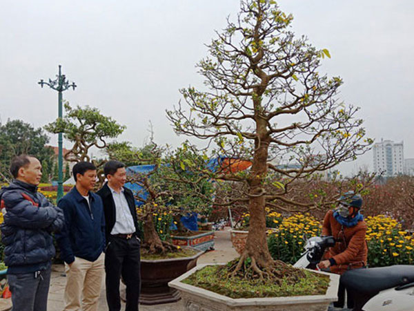 Ảnh bìa bài viết 516873