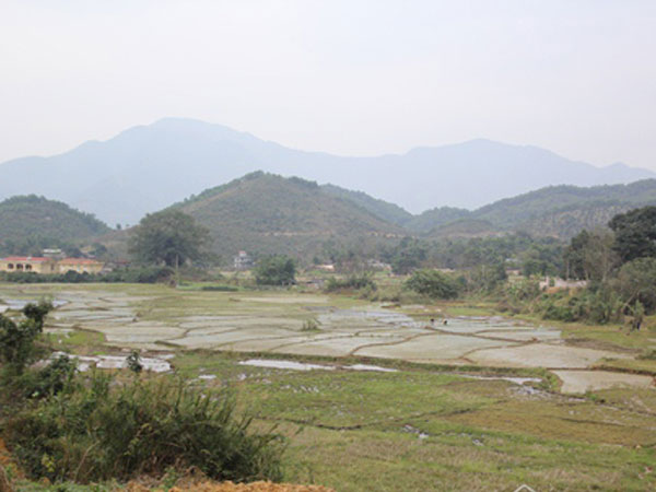 Ảnh bìa bài viết 517149