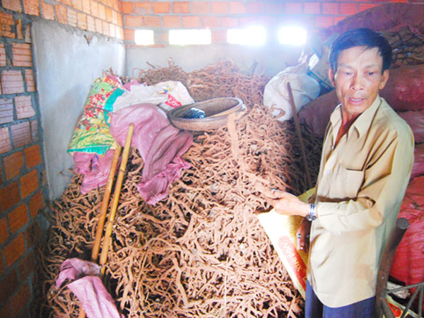 Ảnh bìa bài viết 517602