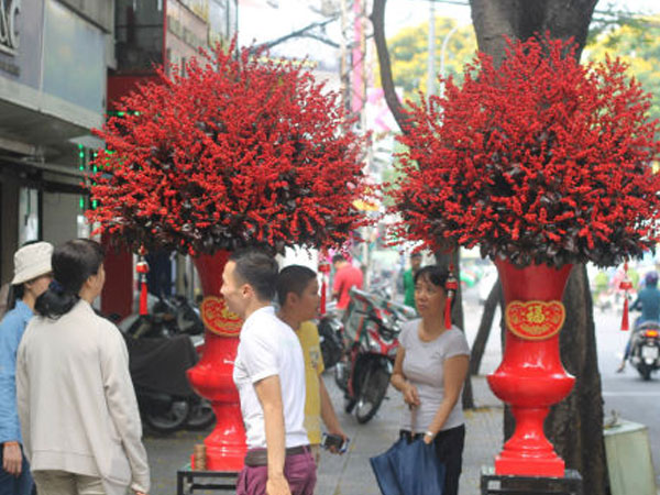 Ảnh bìa bài viết 517845