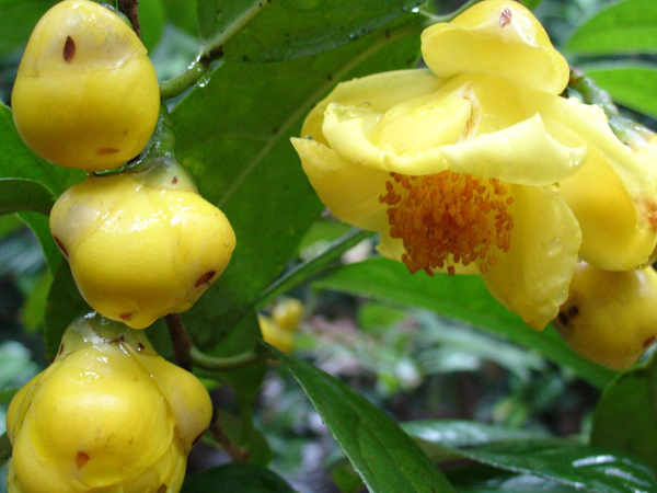 Ảnh bìa bài viết 519101