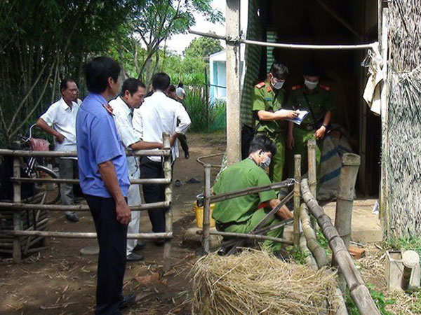 Ảnh bìa bài viết 519173