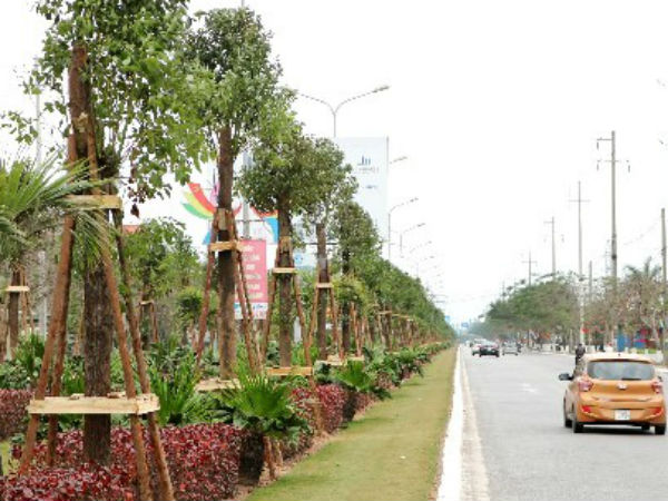 Ảnh bìa bài viết 519558