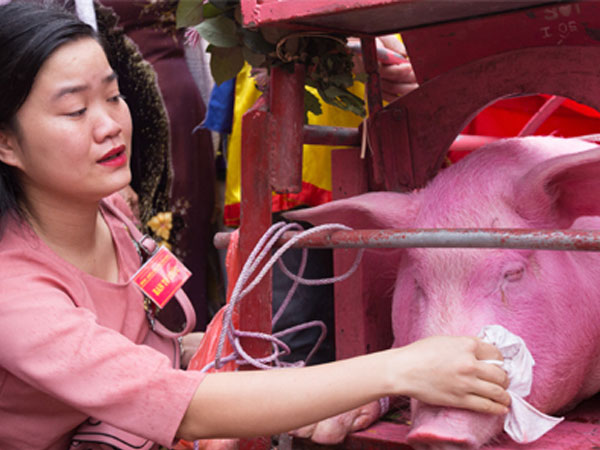 Ảnh bìa bài viết 519490