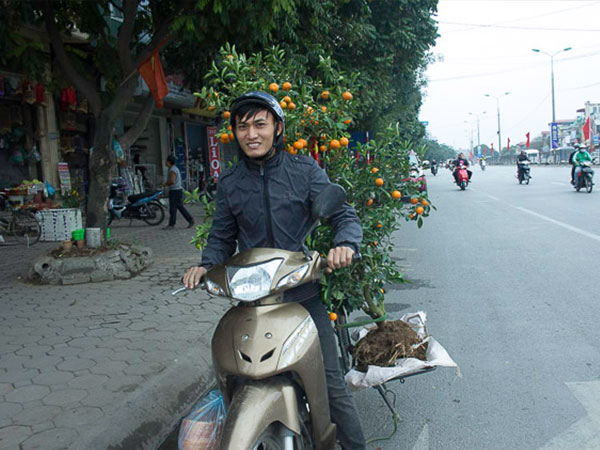 Ảnh bìa bài viết 521326