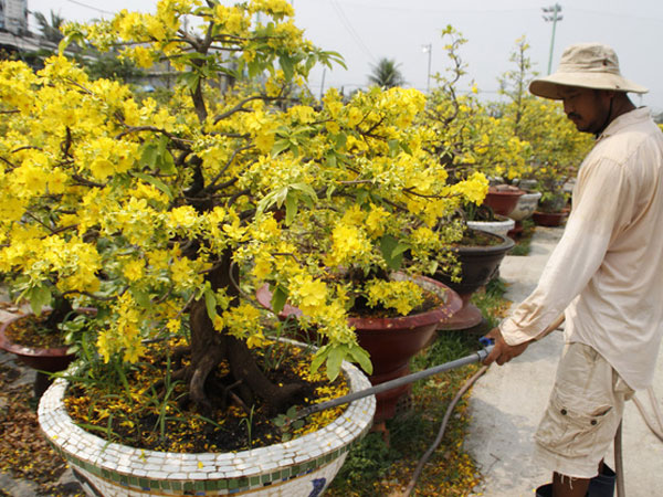 Ảnh bìa bài viết 521895