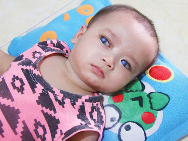 Ảnh bìa bài viết 522309