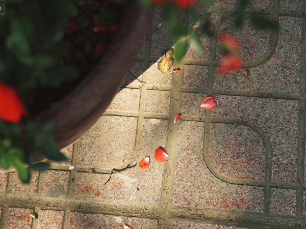 Ảnh bìa bài viết 523053