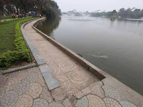 Ảnh bìa bài viết 523273